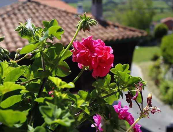 Casa Rural La Tayuela Луанко Экстерьер фото